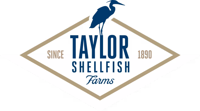Taylor Shellfish Oyster Bar