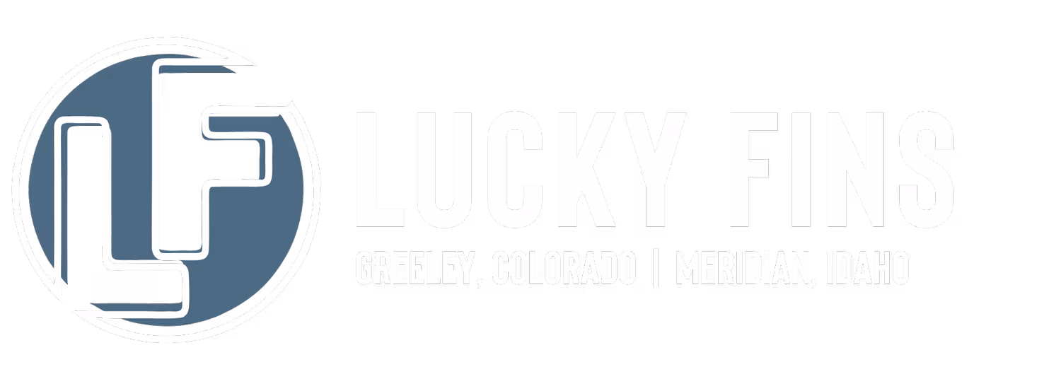 Lucky Fins Meridian