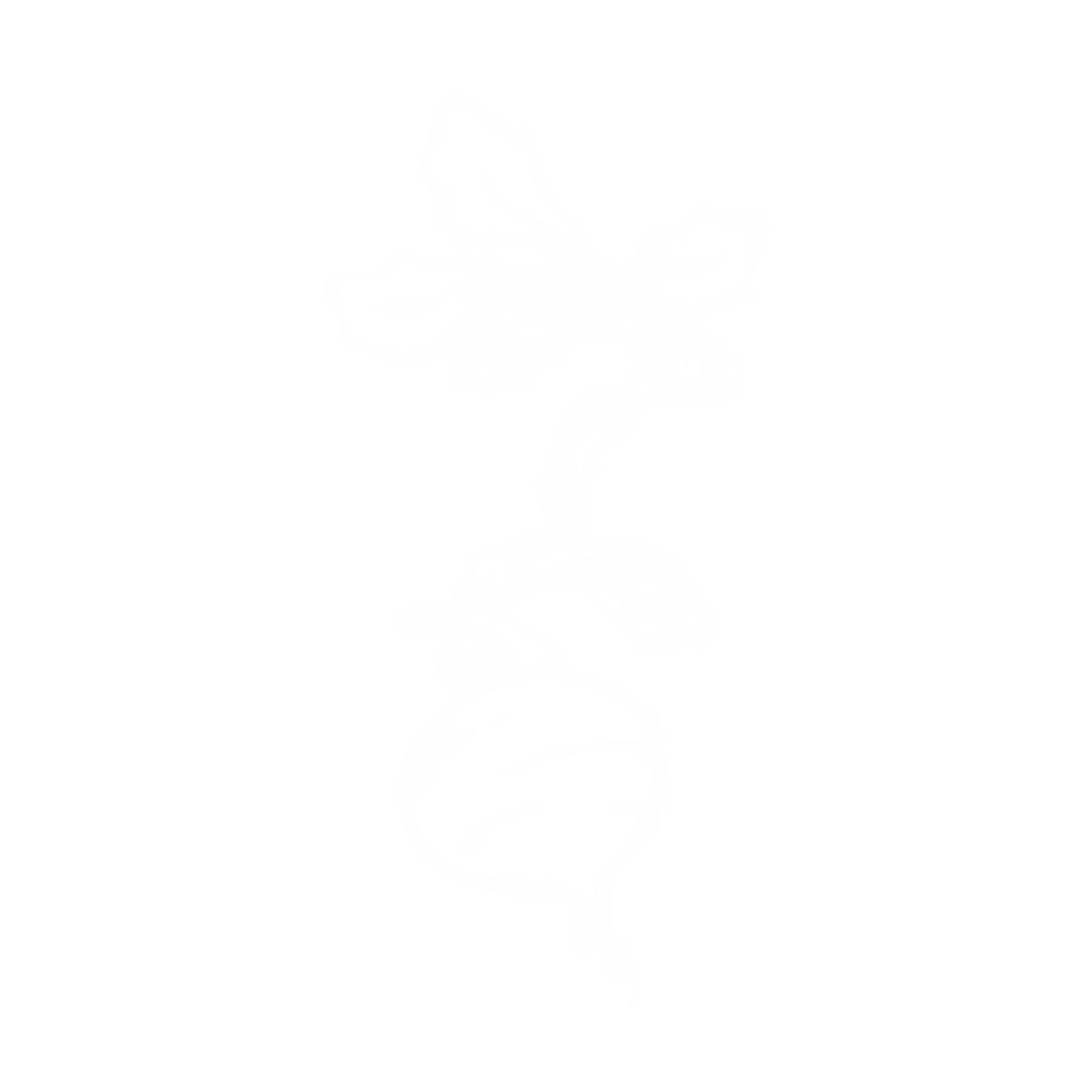 Twisted Turnip